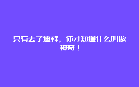 只有去了迪拜，你才知道什么叫做神奇！