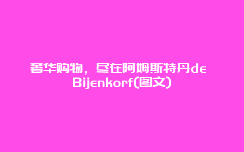 奢华购物，尽在阿姆斯特丹de Bijenkorf(图文)