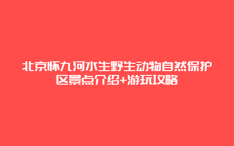 北京怀九河水生野生动物自然保护区景点介绍+游玩攻略