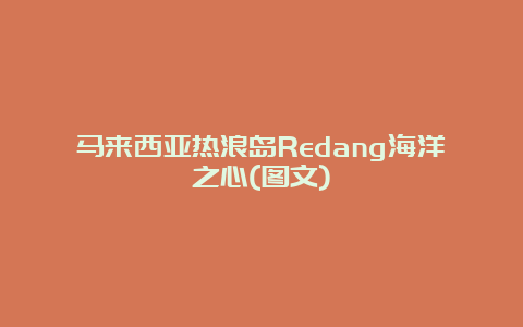 马来西亚热浪岛Redang海洋之心(图文)