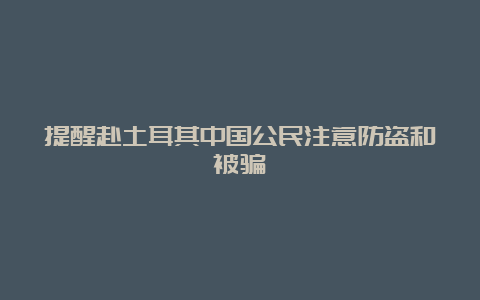 提醒赴土耳其中国公民注意防盗和被骗