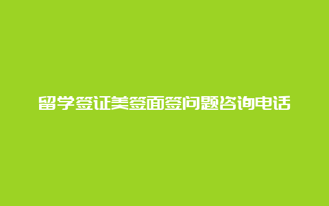 留学签证美签面签问题咨询电话