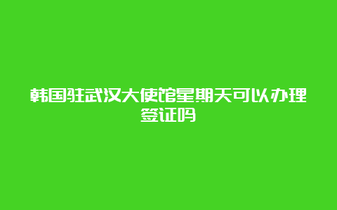 韩国驻武汉大使馆星期天可以办理签证吗