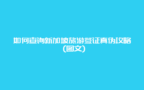 如何查询新加坡旅游签证真伪攻略 (图文)