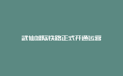 武仙城际铁路正式开通运营