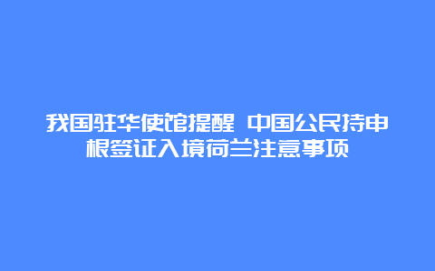 我国驻华使馆提醒 中国公民持申根签证入境荷兰注意事项