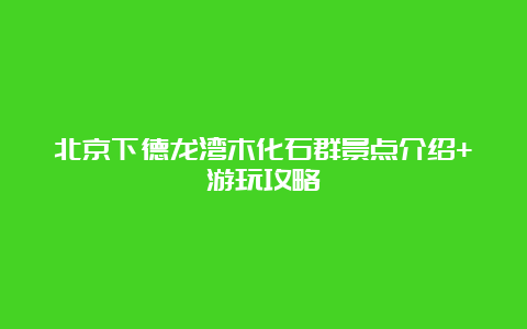 北京下德龙湾木化石群景点介绍+游玩攻略