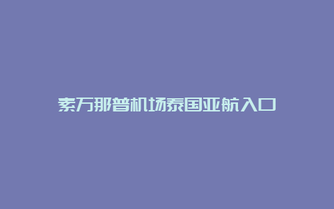 素万那普机场泰国亚航入口