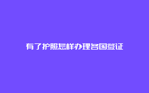 有了护照怎样办理各国签证