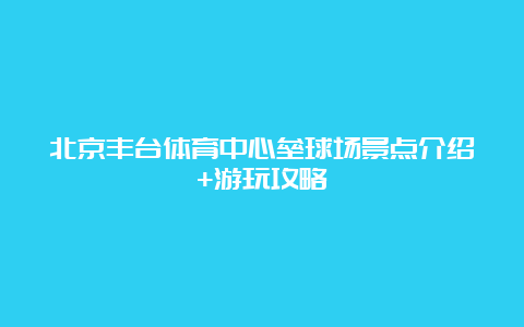 北京丰台体育中心垒球场景点介绍+游玩攻略