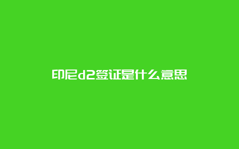 印尼d2签证是什么意思