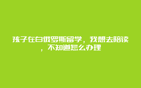 孩子在白俄罗斯留学，我想去陪读，不知道怎么办理