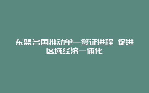 东盟各国推动单一签证进程 促进区域经济一体化