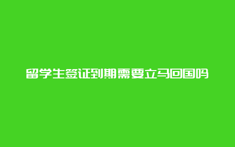 留学生签证到期需要立马回国吗