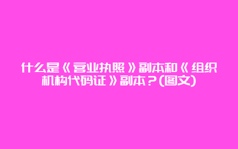 什么是《营业执照》副本和《组织机构代码证》副本？(图文)