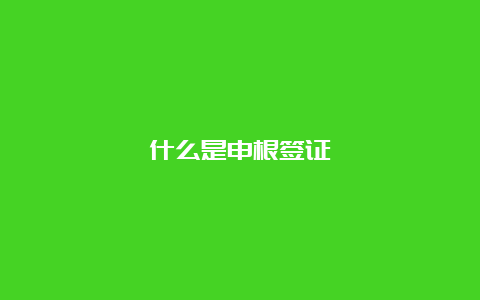 什么是申根签证