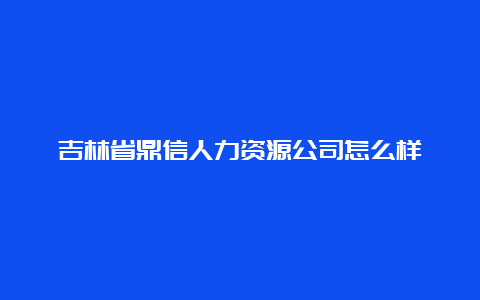 吉林省鼎信人力资源公司怎么样