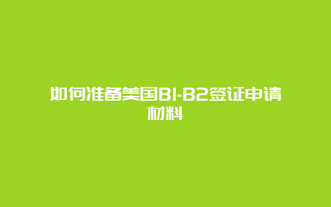 如何准备美国B1-B2签证申请材料