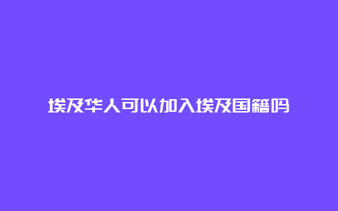 埃及华人可以加入埃及国籍吗