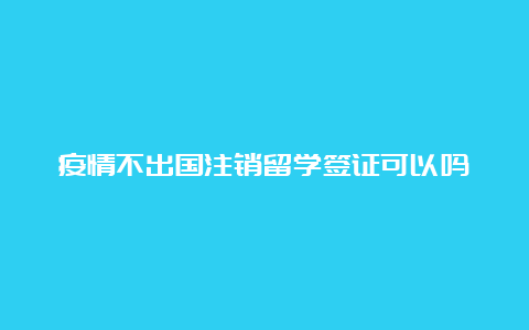 疫情不出国注销留学签证可以吗