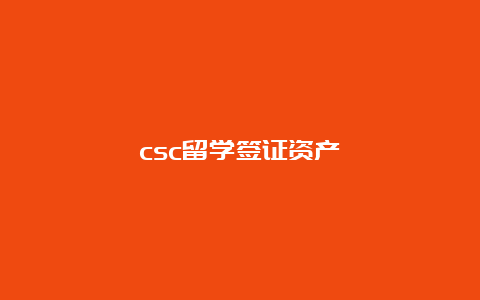 csc留学签证资产