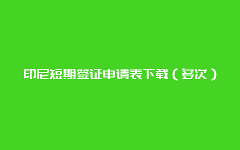 印尼短期签证申请表下载（多次）