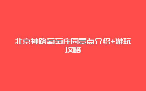 北京神路葡萄庄园景点介绍+游玩攻略