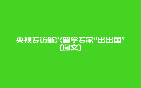 央视专访新兴留学专家“出出国”(图文)