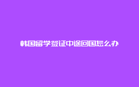 韩国留学签证中途回国怎么办