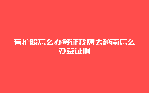 有护照怎么办签证我想去越南怎么办签证啊