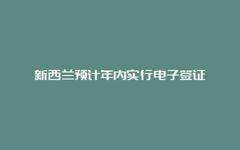 新西兰预计年内实行电子签证