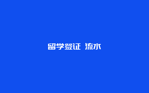 留学签证 流水