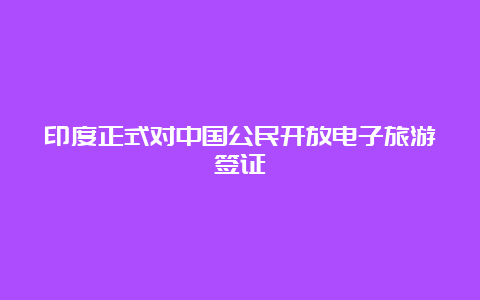 印度正式对中国公民开放电子旅游签证