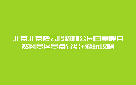 北京北京霞云岭森林公园白草畔自然风景区景点介绍+游玩攻略