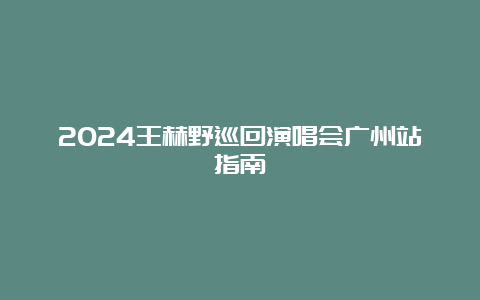 2024王赫野巡回演唱会广州站指南