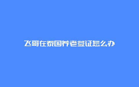 飞哥在泰国养老签证怎么办