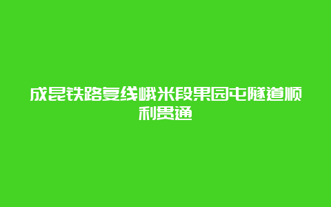 成昆铁路复线峨米段果园屯隧道顺利贯通