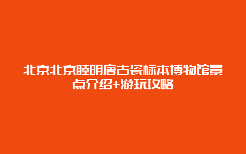 北京北京睦明唐古瓷标本博物馆景点介绍+游玩攻略