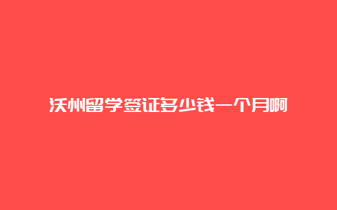 沃州留学签证多少钱一个月啊