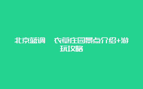 北京蓝调薰衣草庄园景点介绍+游玩攻略