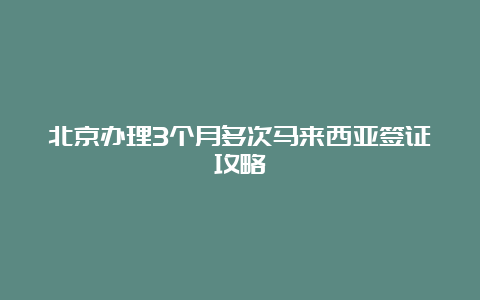 北京办理3个月多次马来西亚签证攻略