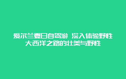 爱尔兰夏日自驾游 深入体验野性大西洋之路的壮美与野性