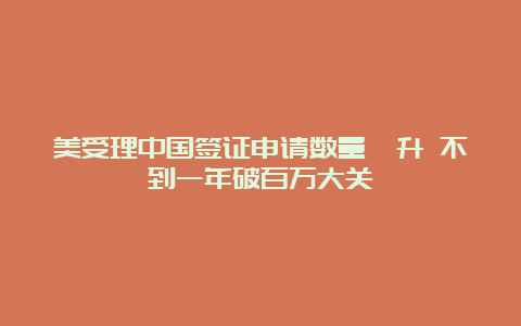 美受理中国签证申请数量飙升 不到一年破百万大关