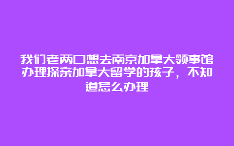 我们老两口想去南京加拿大领事馆办理探亲加拿大留学的孩子，不知道怎么办理