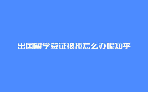 出国留学签证被拒怎么办呢知乎