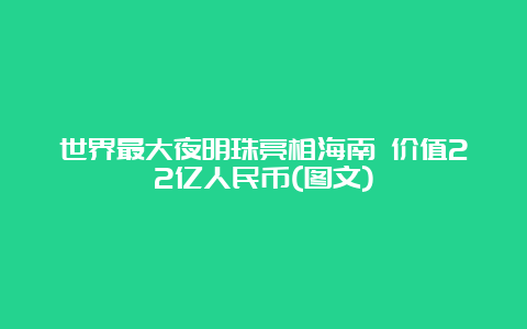 世界最大夜明珠亮相海南 价值22亿人民币(图文)