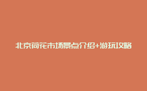 北京荷花市场景点介绍+游玩攻略