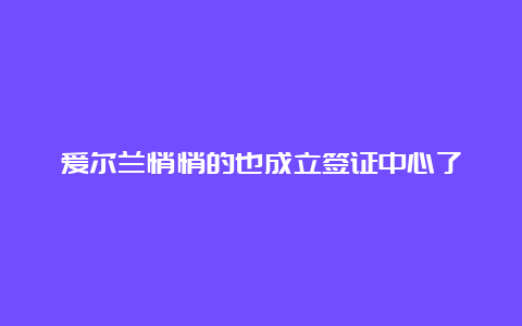 爱尔兰悄悄的也成立签证中心了