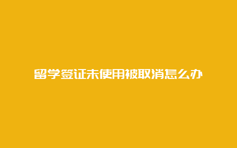 留学签证未使用被取消怎么办