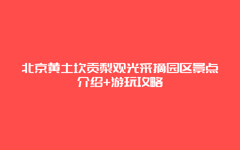 北京黄土坎贡梨观光采摘园区景点介绍+游玩攻略